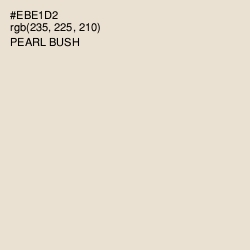 #EBE1D2 - Pearl Bush Color Image
